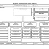 ICS-207 Incident Organization Chart Form Poster - FEMA