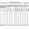 ICS-211 Check-in Information Form - FEMA
