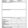 ICS-209 Incident Status Summary Page 1 Form Poster - EMSI (Default)