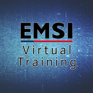 FEMA G400 Virtual Course